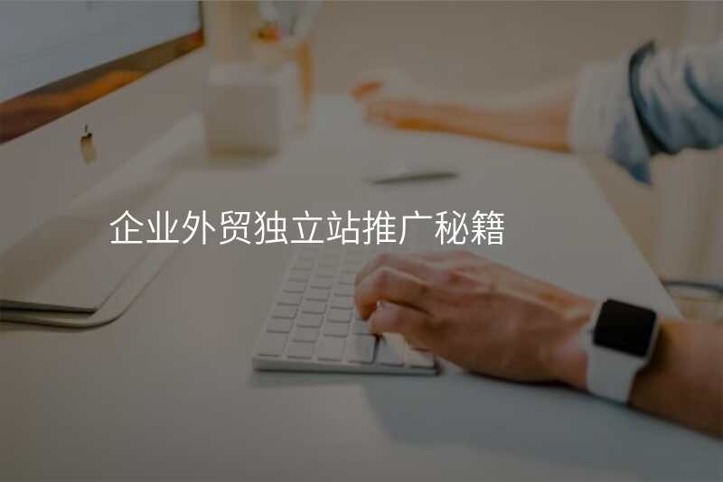 企业外贸独立站推广秘籍