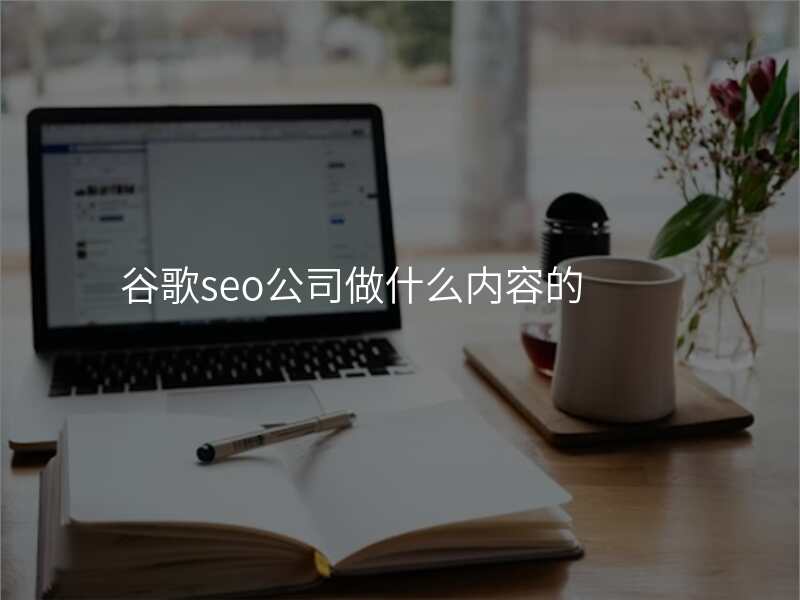 谷歌seo公司做什么内容的