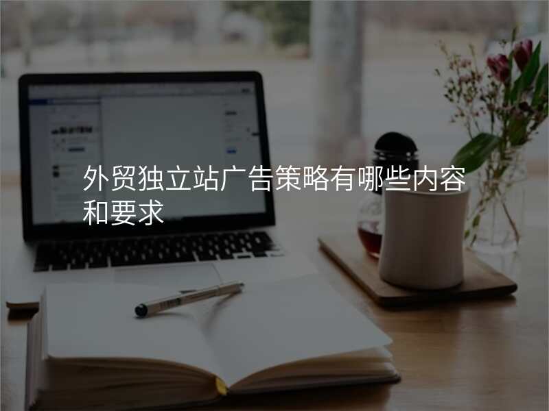 外贸独立站广告策略有哪些内容和要求