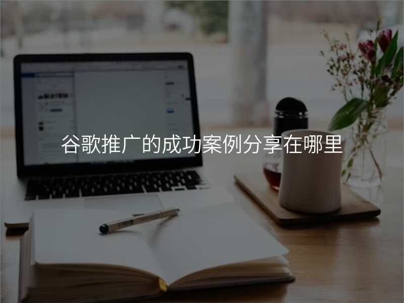 谷歌推广的成功案例分享在哪里