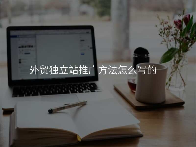 外贸独立站推广方法怎么写的