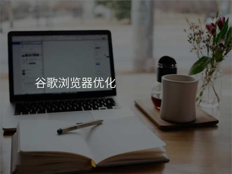 谷歌浏览器优化