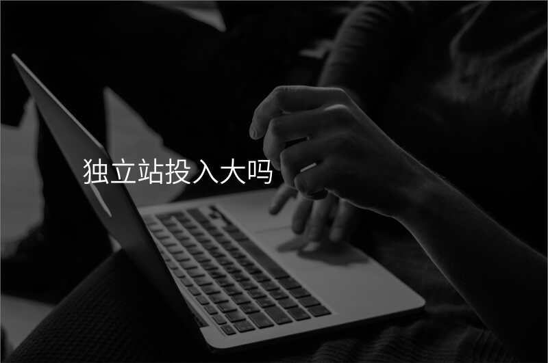 独立站投入大吗