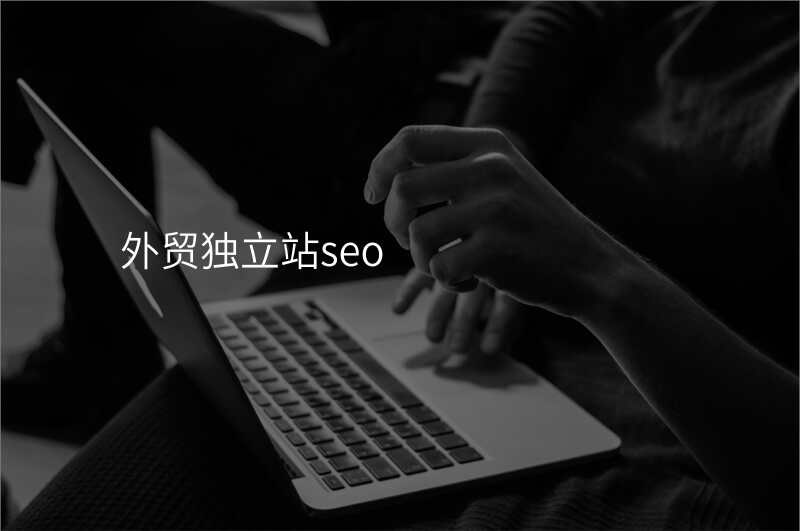 外贸独立站seo