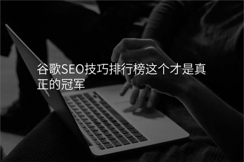 谷歌SEO技巧排行榜这个才是真正的冠军