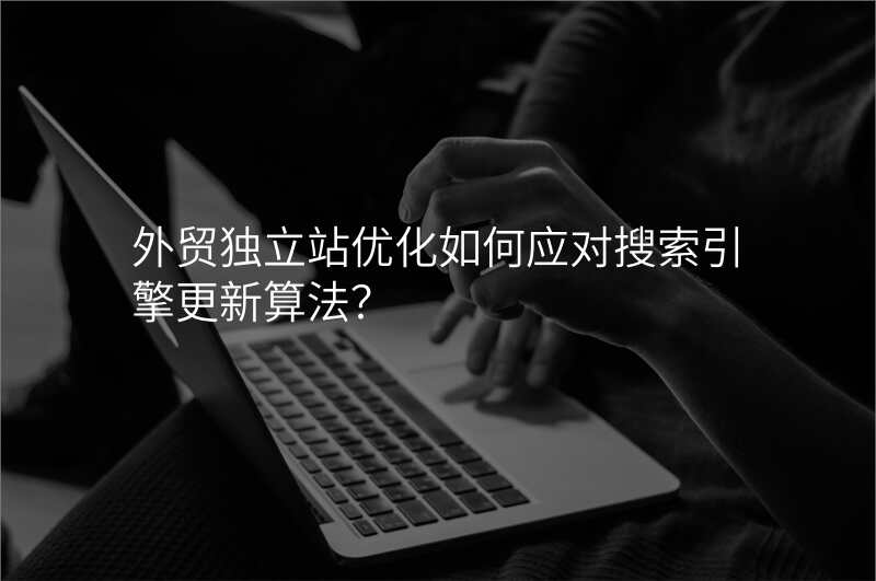 外贸独立站优化如何应对搜索引擎更新算法?