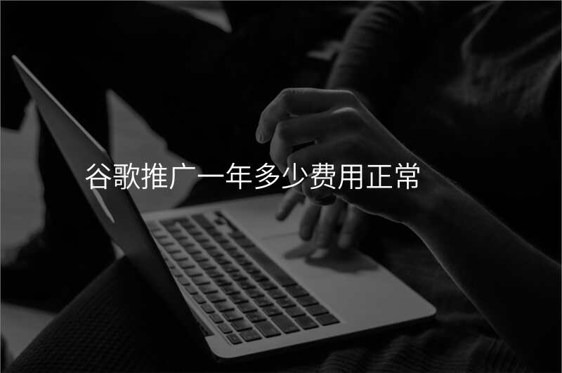 谷歌推广一年多少费用正常