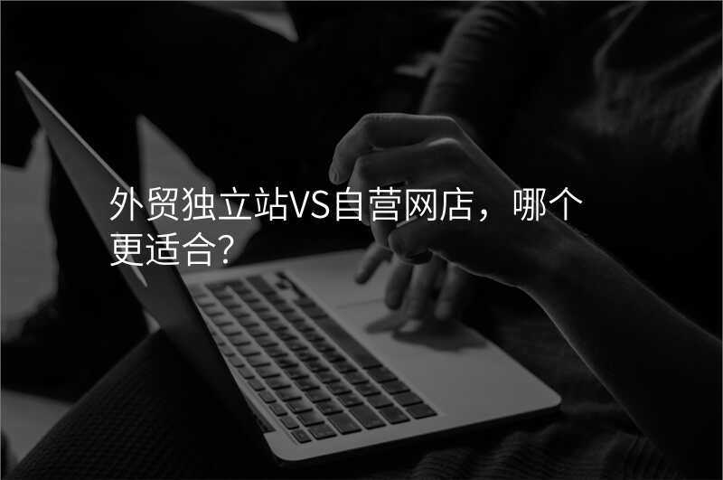 外贸独立站VS自营网店,哪个更适合?