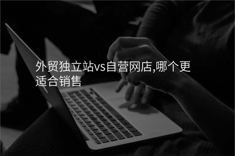 外贸独立站vs自营网店,哪个更适合销售