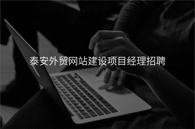 泰安外贸网站建设项目经理招聘