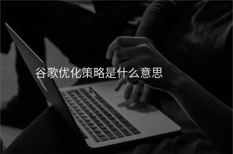 谷歌优化策略是什么意思