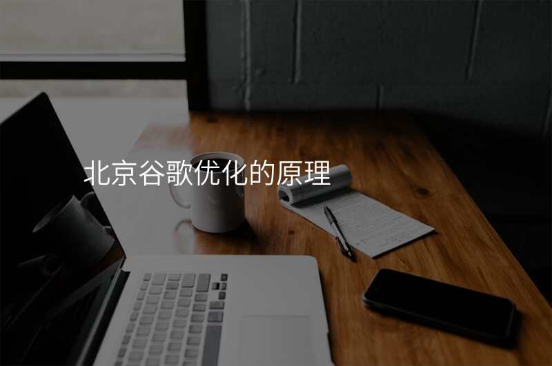 北京谷歌优化的原理