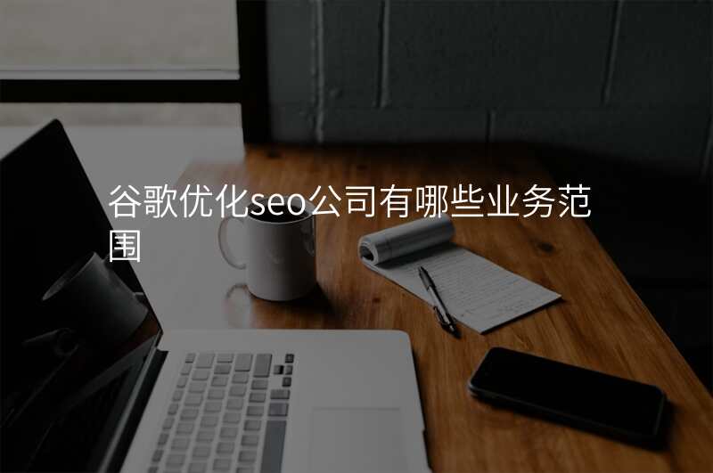 谷歌优化seo公司有哪些业务范围