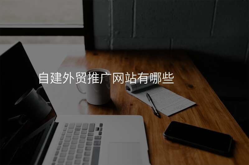 自建外贸推广网站有哪些