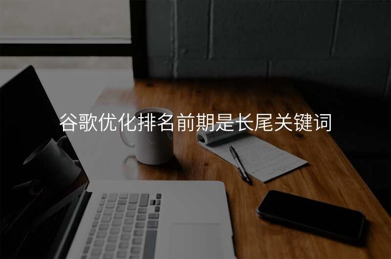 谷歌优化排名前期是长尾关键词