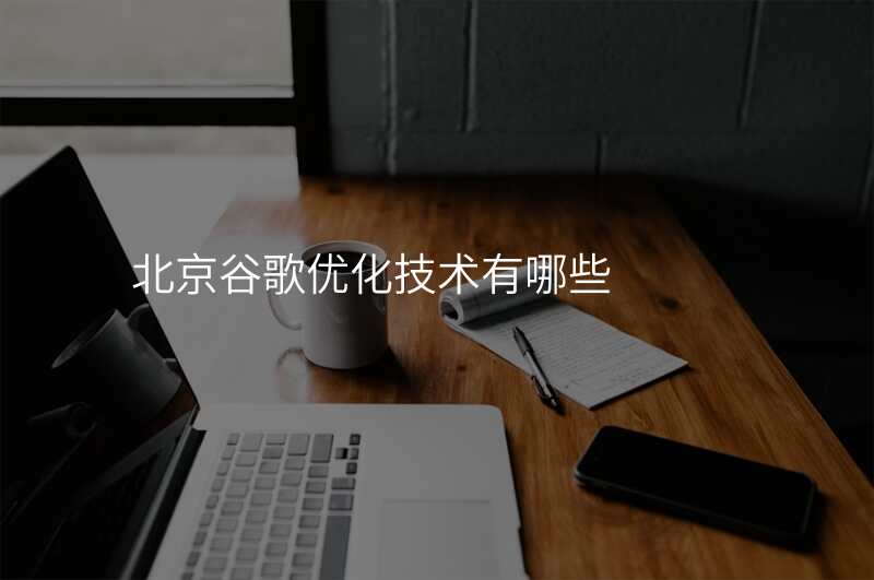 北京谷歌优化技术有哪些