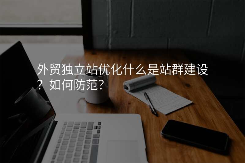 外贸独立站优化什么是站群建设?如何防范?
