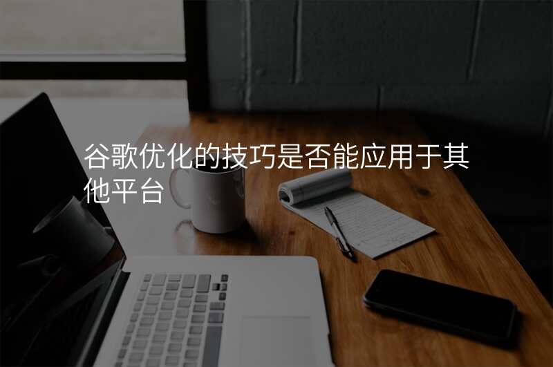 谷歌优化的技巧是否能应用于其他平台