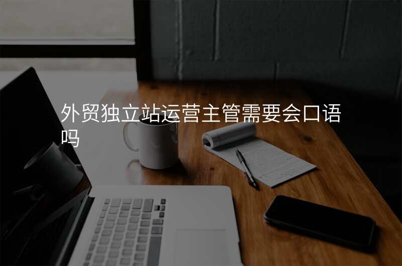 外贸独立站运营主管需要会口语吗