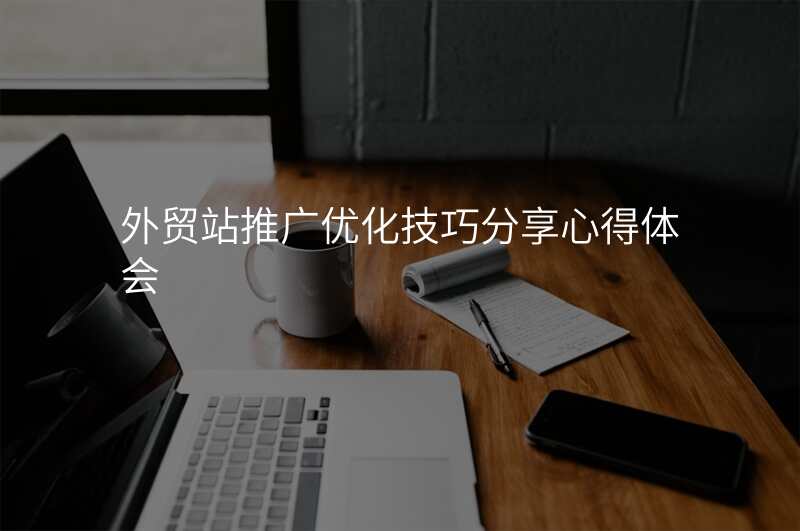 外贸站推广优化技巧分享心得体会