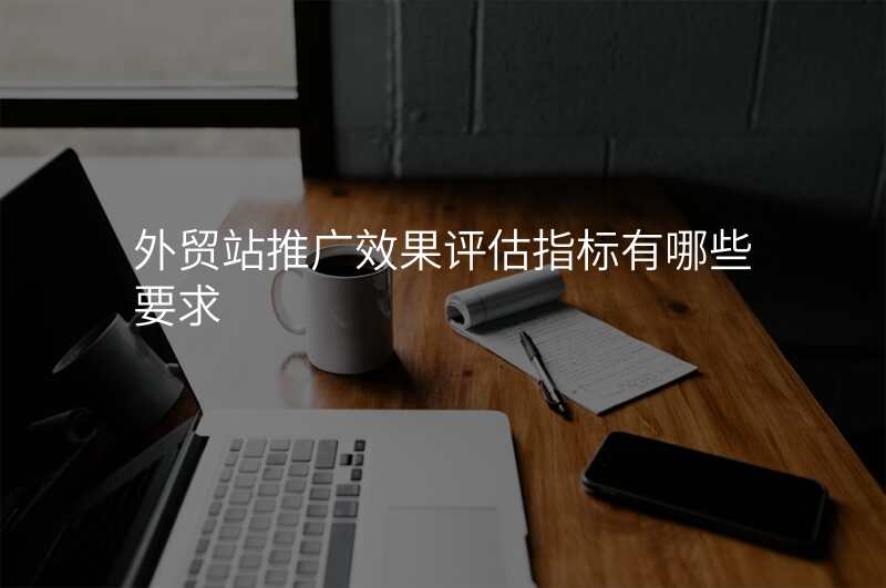 外贸站推广效果评估指标有哪些要求