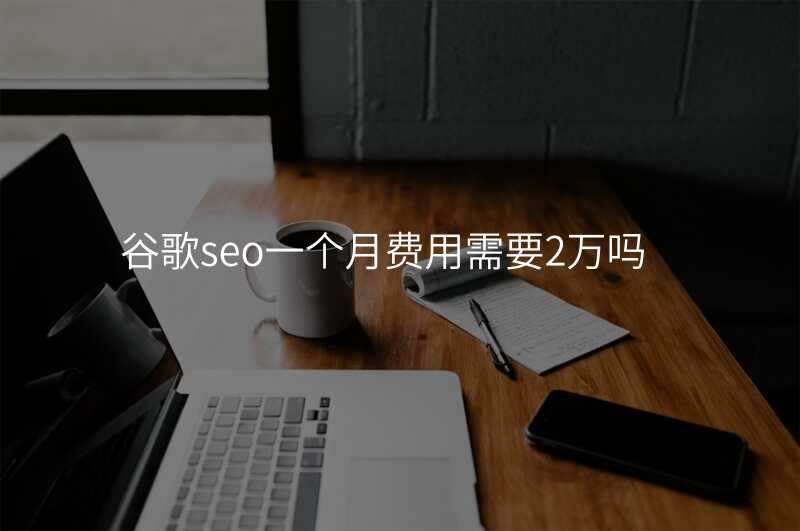 谷歌seo一个月费用需要2万吗
