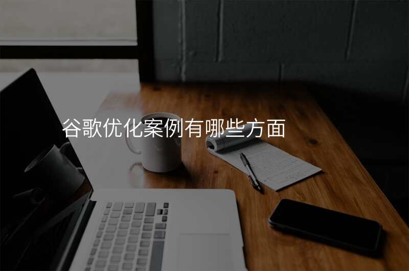 谷歌优化案例有哪些方面