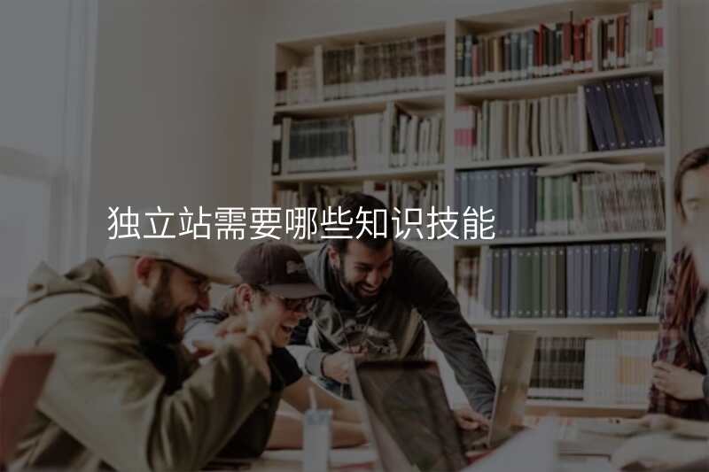 独立站需要哪些知识技能