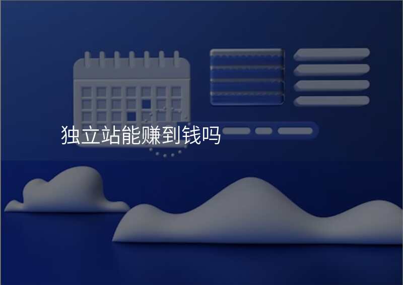 独立站能赚到钱吗