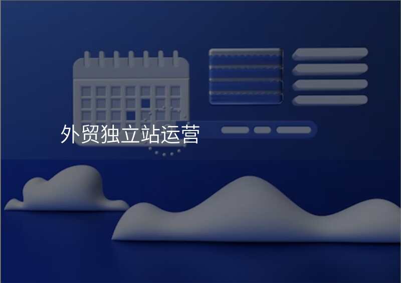 外贸独立站运营