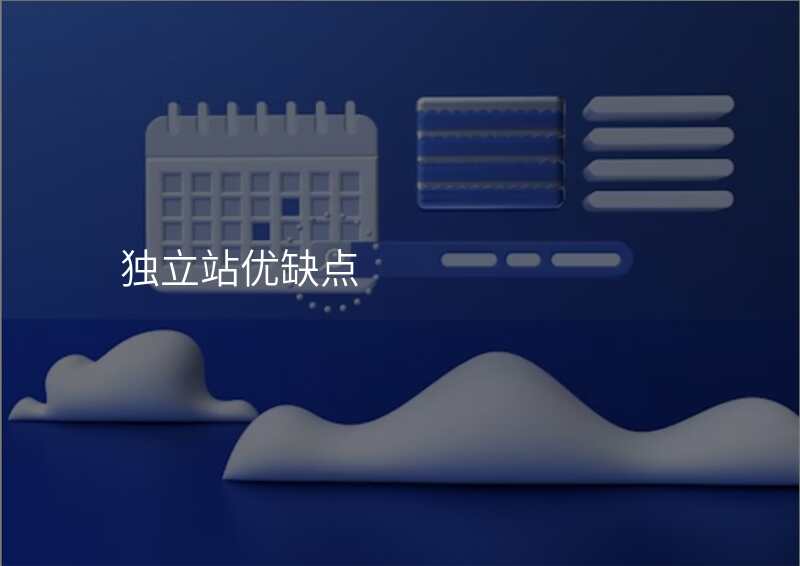 独立站优缺点