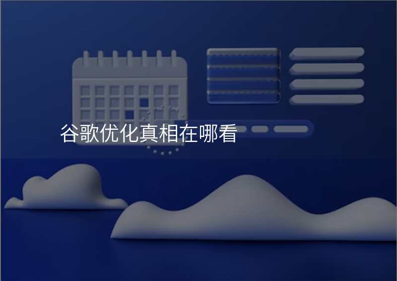 谷歌优化真相在哪看