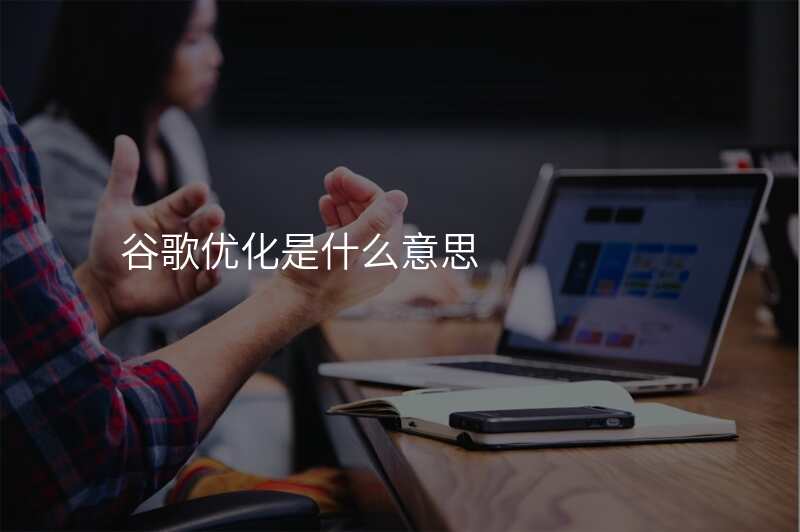 谷歌优化是什么意思