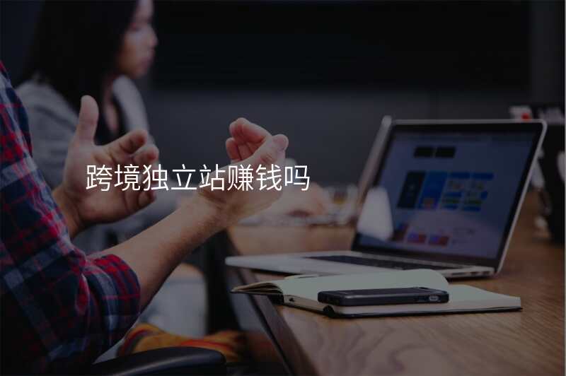跨境独立站赚钱吗