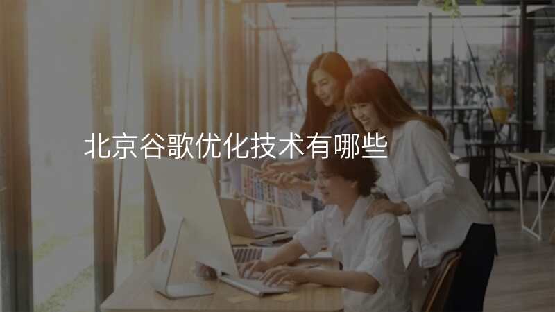 北京谷歌优化技术有哪些