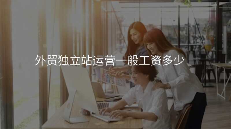 外贸独立站运营一般工资多少
