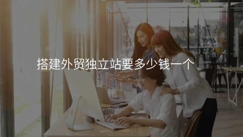 搭建外贸独立站要多少钱一个