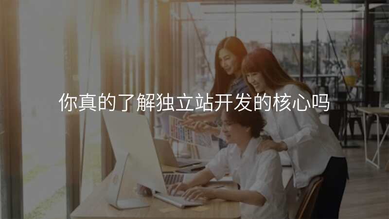 你真的了解独立站开发的核心吗