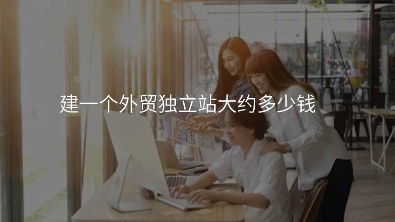 建一个外贸独立站大约多少钱