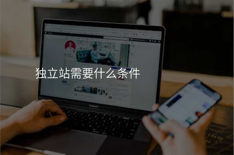 独立站需要什么条件