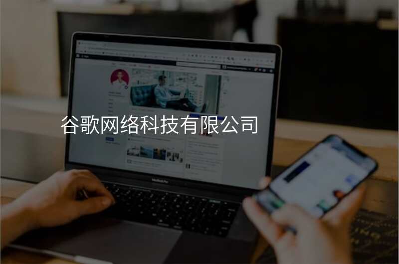 谷歌网络科技有限公司