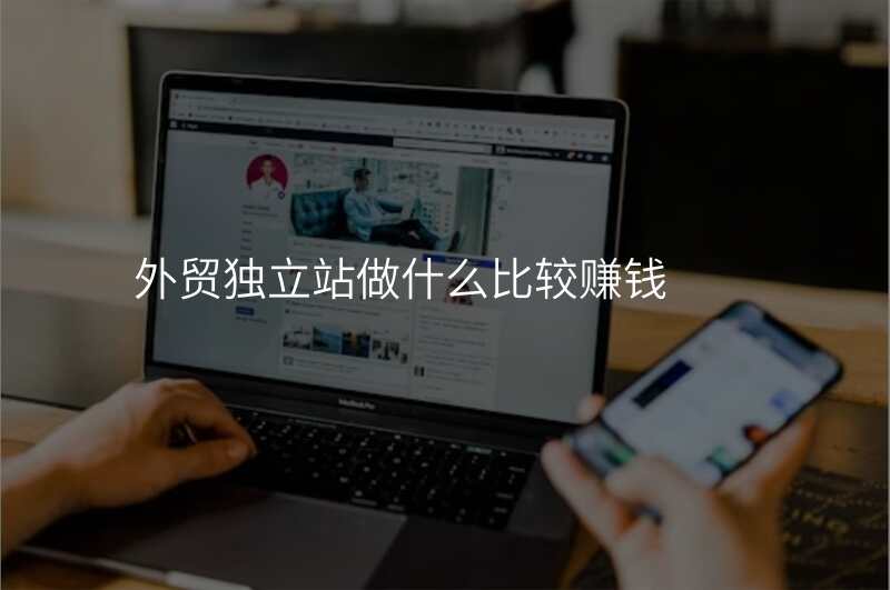 外贸独立站做什么比较赚钱