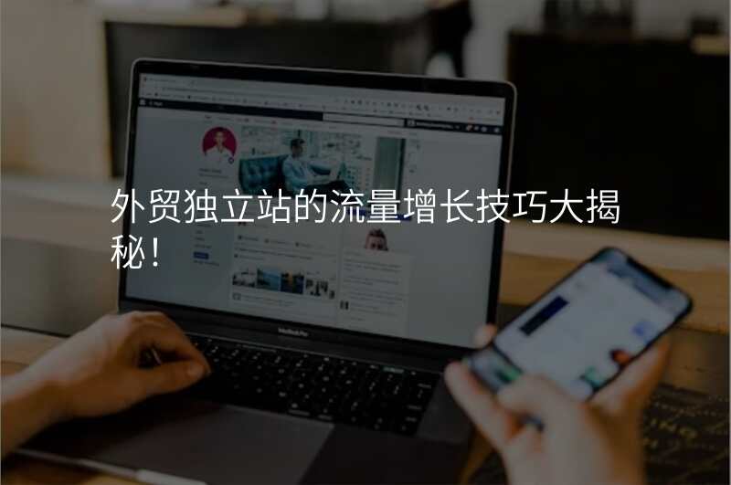 外贸独立站的流量增长技巧大揭秘!