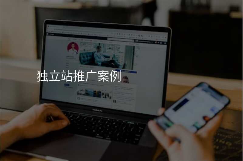独立站推广案例
