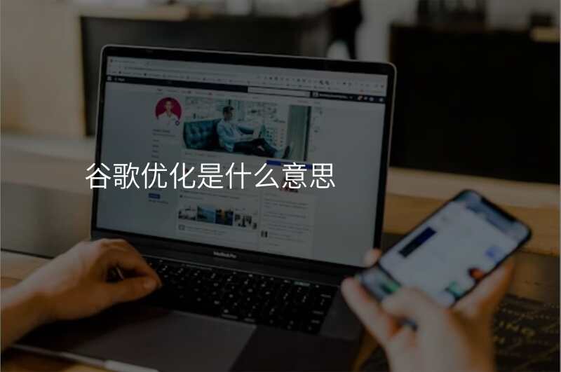 谷歌优化是什么意思