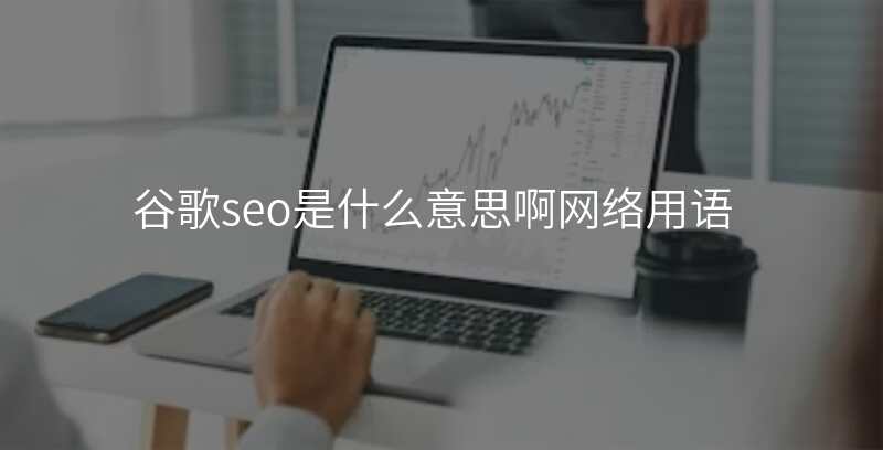 谷歌seo是什么意思啊网络用语