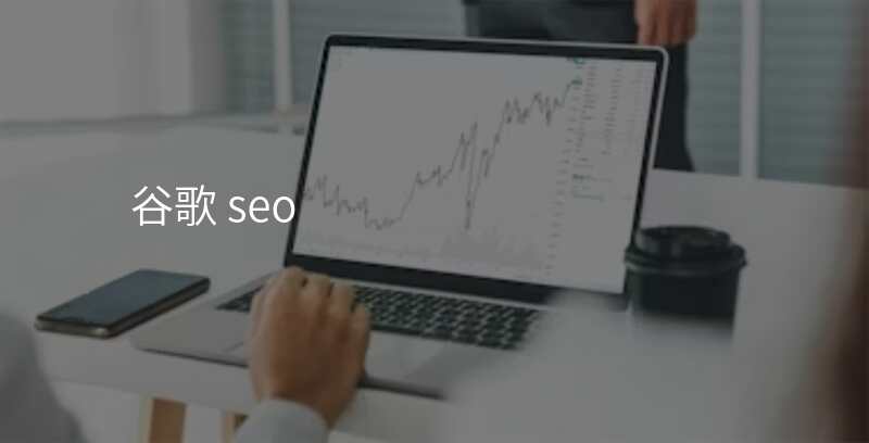 谷歌 seo