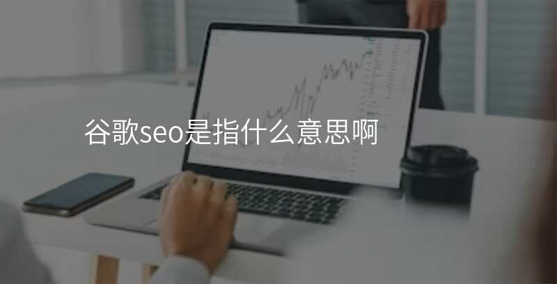 谷歌seo是指什么意思啊