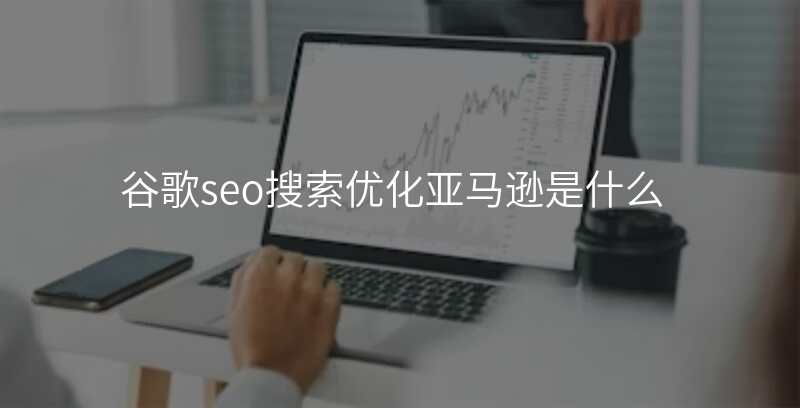 谷歌seo搜索优化亚马逊是什么