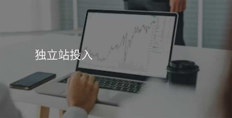 独立站投入